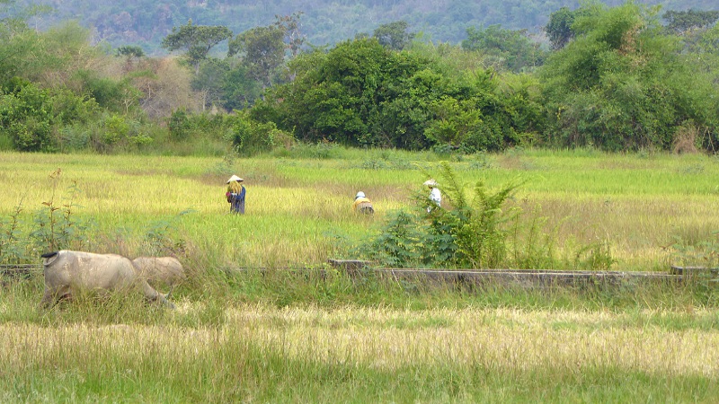 Améliorer le système de santé du district de Salavane 