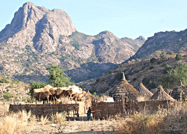 tchad profeda semi mob 83383